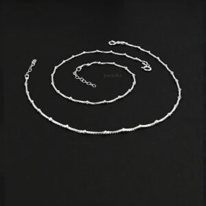 Minimalistic Sleek Payal