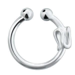 clip on nose ring